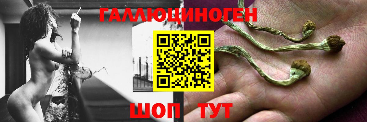 Нижний Тагил  Псилоцибиновые грибы мицелий  Вход с VPN 